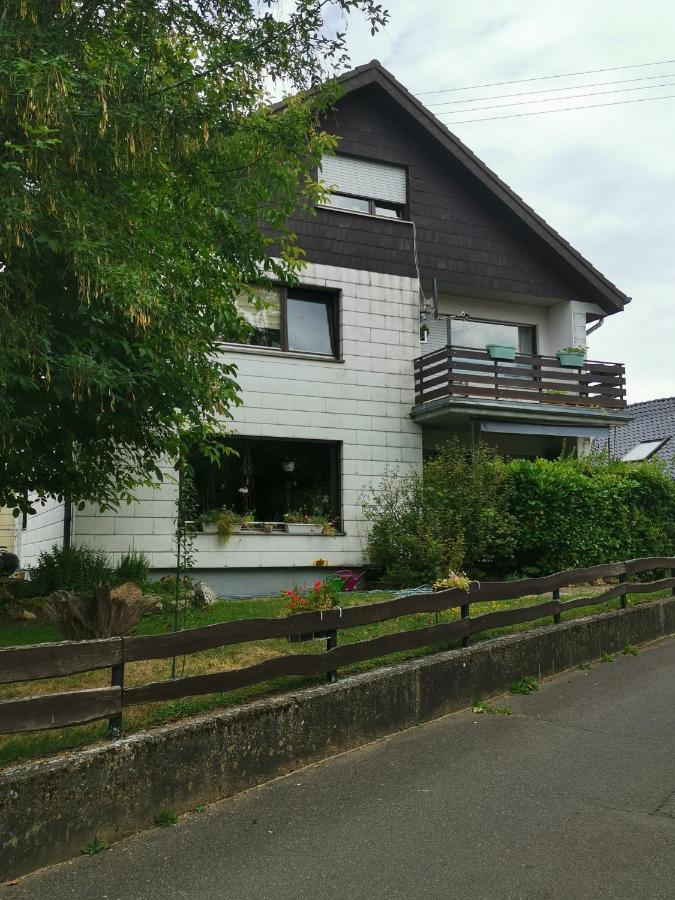 Ferienwohnung-Ameisenhardt 施莱登 外观 照片