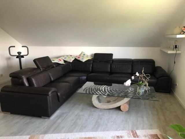 Ferienwohnung-Ameisenhardt 施莱登 外观 照片